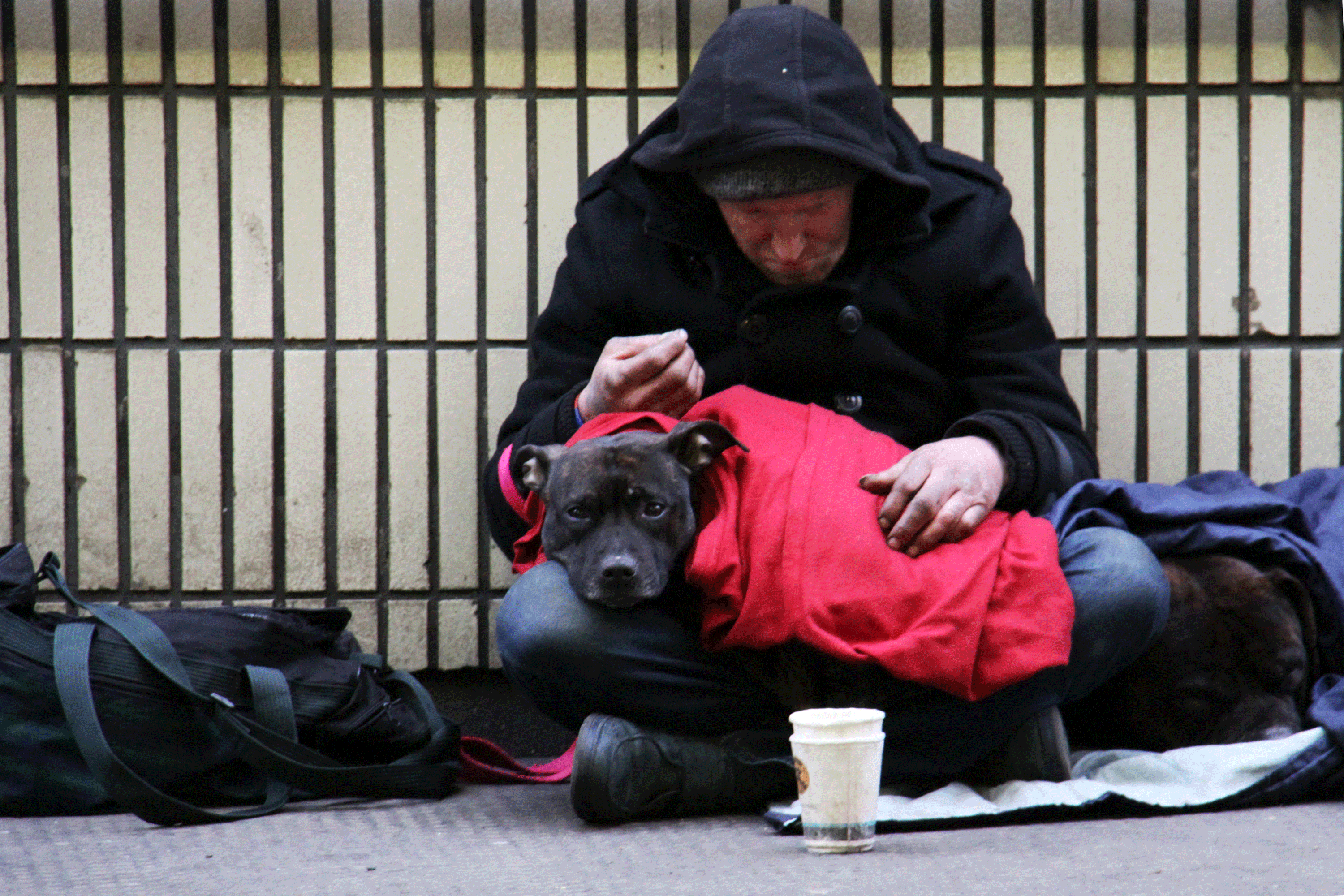 homeless man with dog