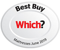 Which Best Buy 2018 Logo