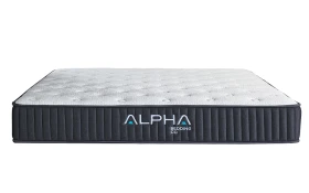 Alpha Delta Full Front