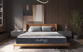 Alpha Delta Lifestyle Front