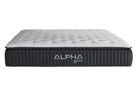 Alpha Theta Full Front