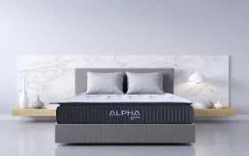 Alpha Theta Lifestyle Front