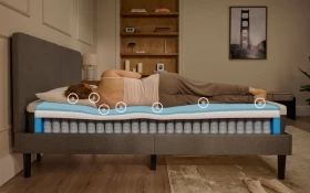 Emma Original Pro Mattress 3