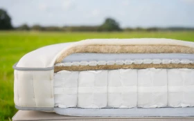 Harrison Spinks Bronze Bisection