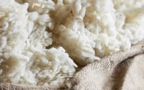 Harrison Spinks Pillow Wool