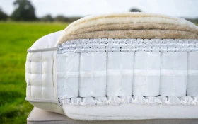 Harrison Spinks Platinum Bisection