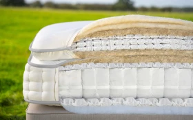 Harrison Spinks Radiant Bisection