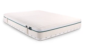 Jay Be Natural Fresh New Angle