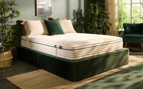 Jay Be Natural Fresh New Lifestyle Angle