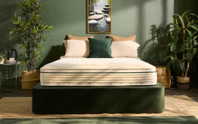 Jay Be Natural Fresh New Lifestyle Front