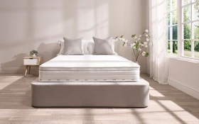 Jay Be Truecore 1000 New Lifestyle Front