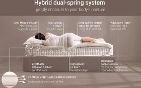 Jay Be Truecore 2000 New Support