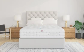 Millbrook Latex 4000 Lifestyle