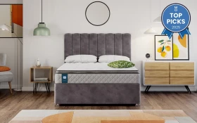 Sealy Alston 2025 Top Picks New