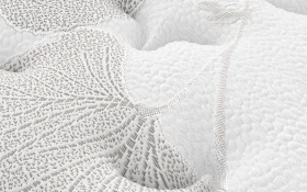 Sealy Exquisite Radiance Mattress Cover Close Up