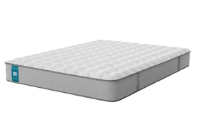 Sealy Hampton Mattress New 2025