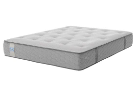 Sealy Steeple Mattress New 2025