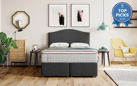 Sealy Steeple Top Picks 2025 New