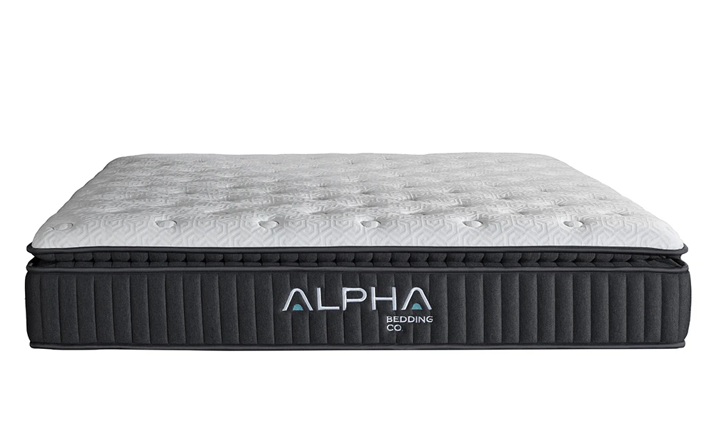 Alpha Theta Full Front