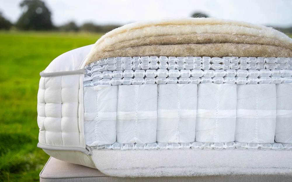 Harrison Spinks Palladium Bisection