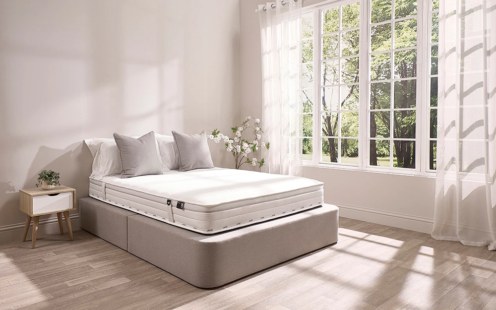 Jay Be Truecore 1000 New Lifestyle Angle