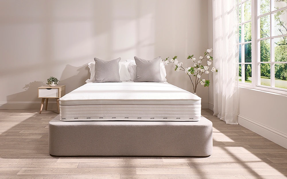 Jay Be Truecore 2000 Lifestyle New Front